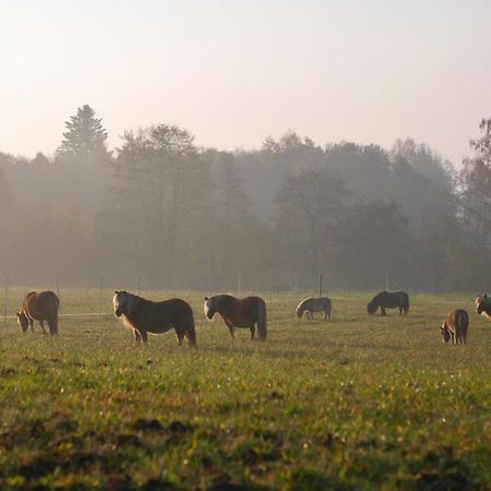 Hovslagaregarden Bed & Breakfast Hörby Eksteriør bilde